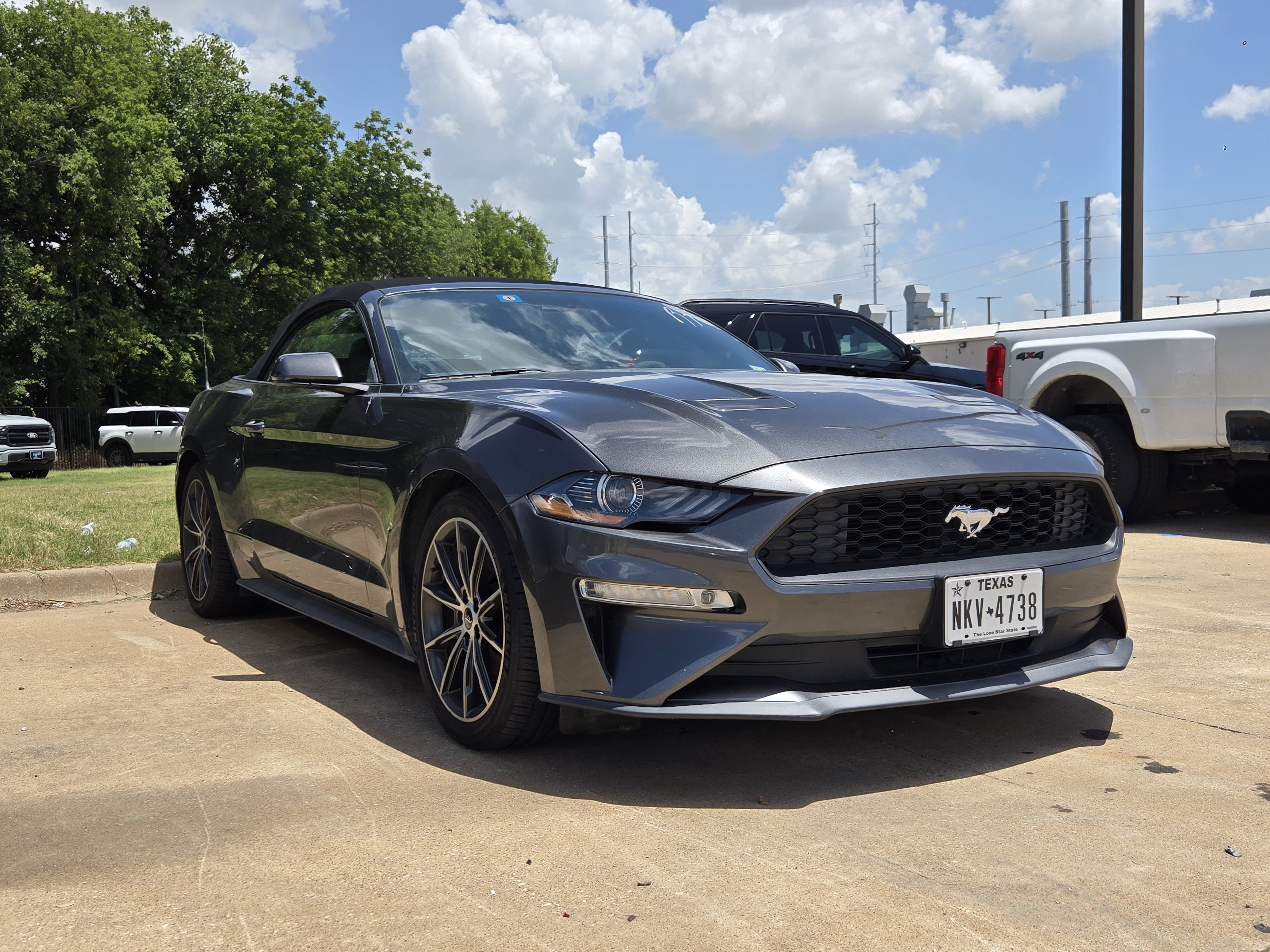 Certified 2019 Ford Mustang Premium w/ Equipment Group 201A RWD video 1