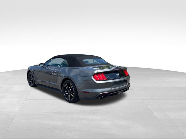 Certified 2023 Ford Mustang Premium w/ Equipment Group 201A image 3