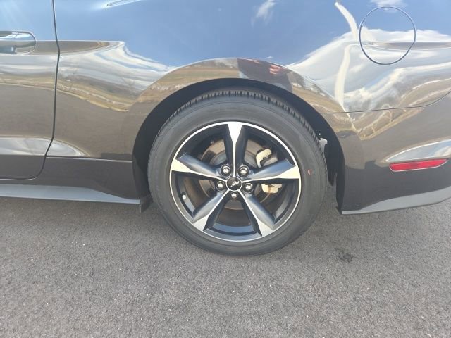 Certified 2023 Ford Mustang EcoBoost w/ Equipment Group 101A image 14