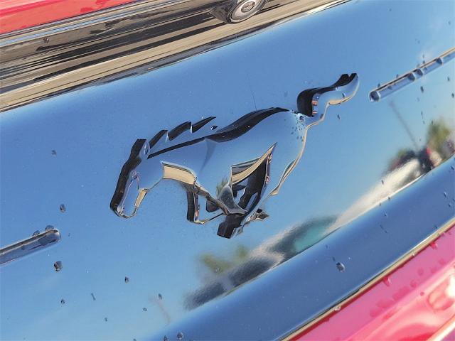 Certified 2020 Ford Mustang Premium w/ Equipment Group 201A image 8