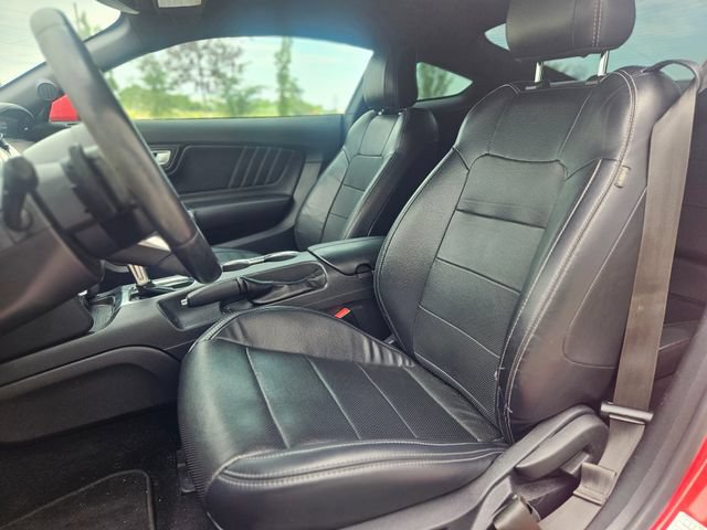 Certified 2019 Ford Mustang Premium RWD image 12