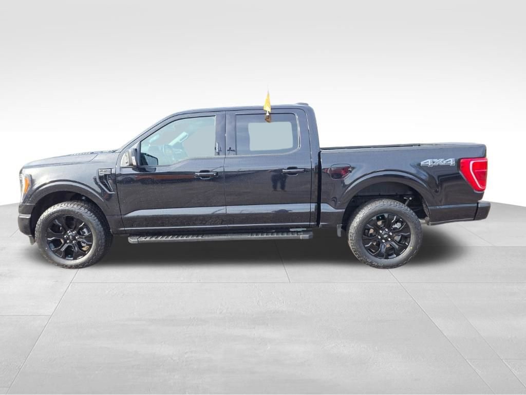 Certified 2023 Ford F150 XLT w/ Equipment Group 302A High image 10