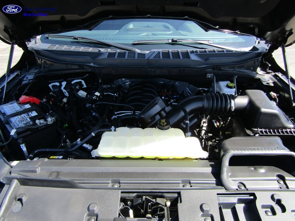 Certified 2025 Ford F150 XLT w/ Equipment Group 303A High AWD/4WD image 7