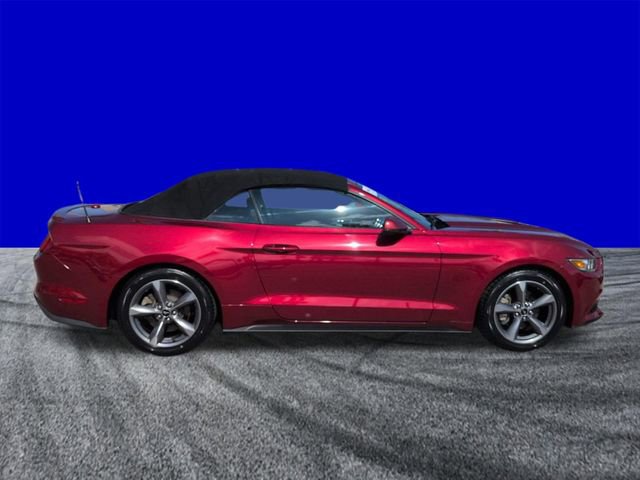 Certified 2017 Ford Mustang Premium image 3
