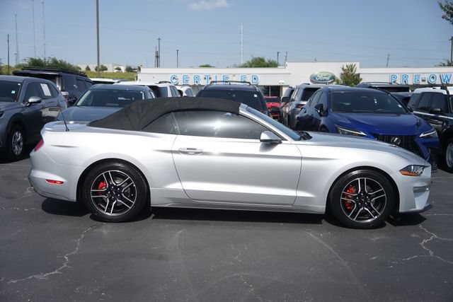 Certified 2019 Ford Mustang Premium RWD image 5