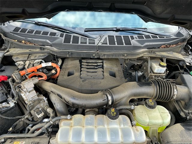 Certified 2023 Ford F150 XLT w/ Equipment Group 302A High image 28