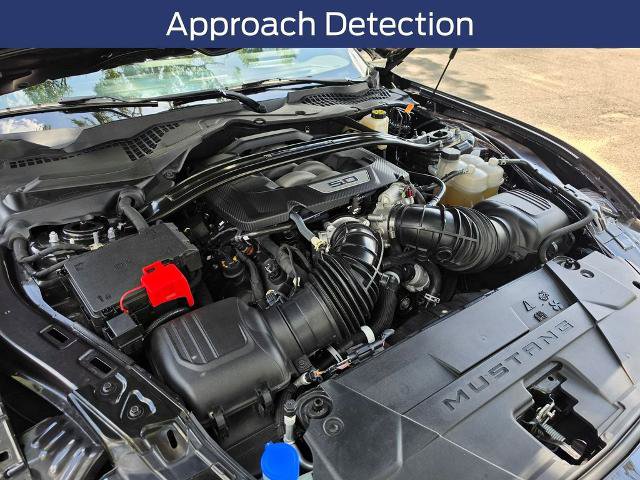 Certified 2024 Ford Mustang Dark Horse w/ Dark Horse Handlin Package RWD image 18