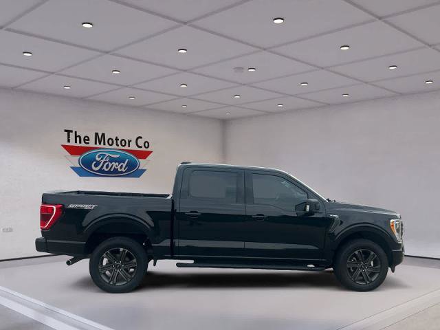 Certified 2023 Ford F150 XLT w/ Equipment Group 302A High AWD/4WD image 4