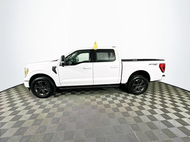 Certified 2023 Ford F150 XLT w/ Equipment Group 302A High AWD/4WD image 8