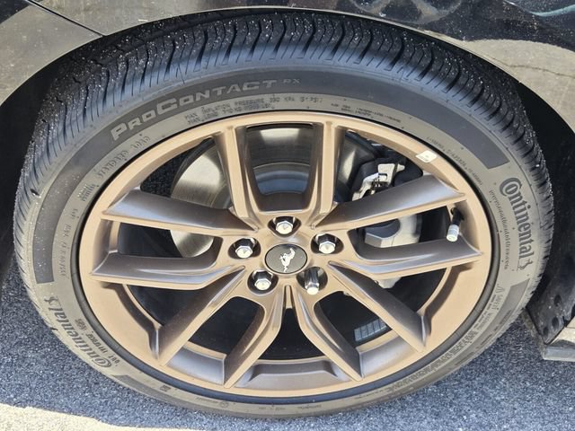 Certified 2025 Ford Mustang Premium RWD video 2