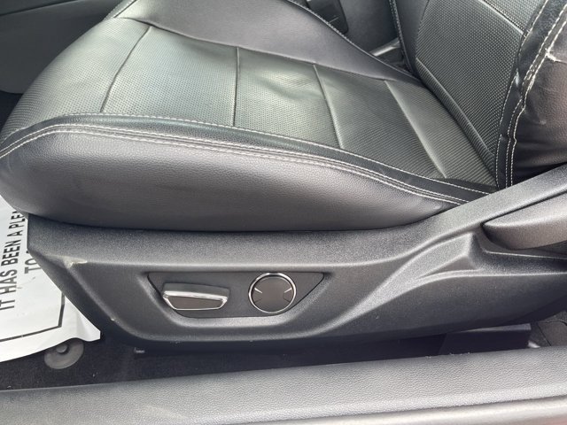 Certified 2019 Ford Mustang Premium RWD image 5
