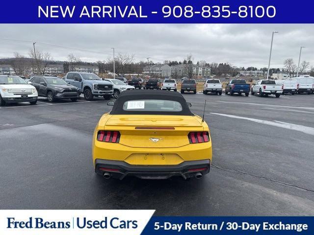 Certified 2024 Ford Mustang Premium image 7