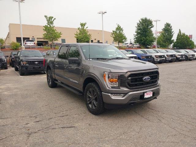 Certified 2023 Ford F150 XLT w/ Equipment Group 302A High AWD/4WD image 1