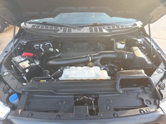 Certified 2023 Ford F150 XLT w/ Equipment Group 302A High image 13