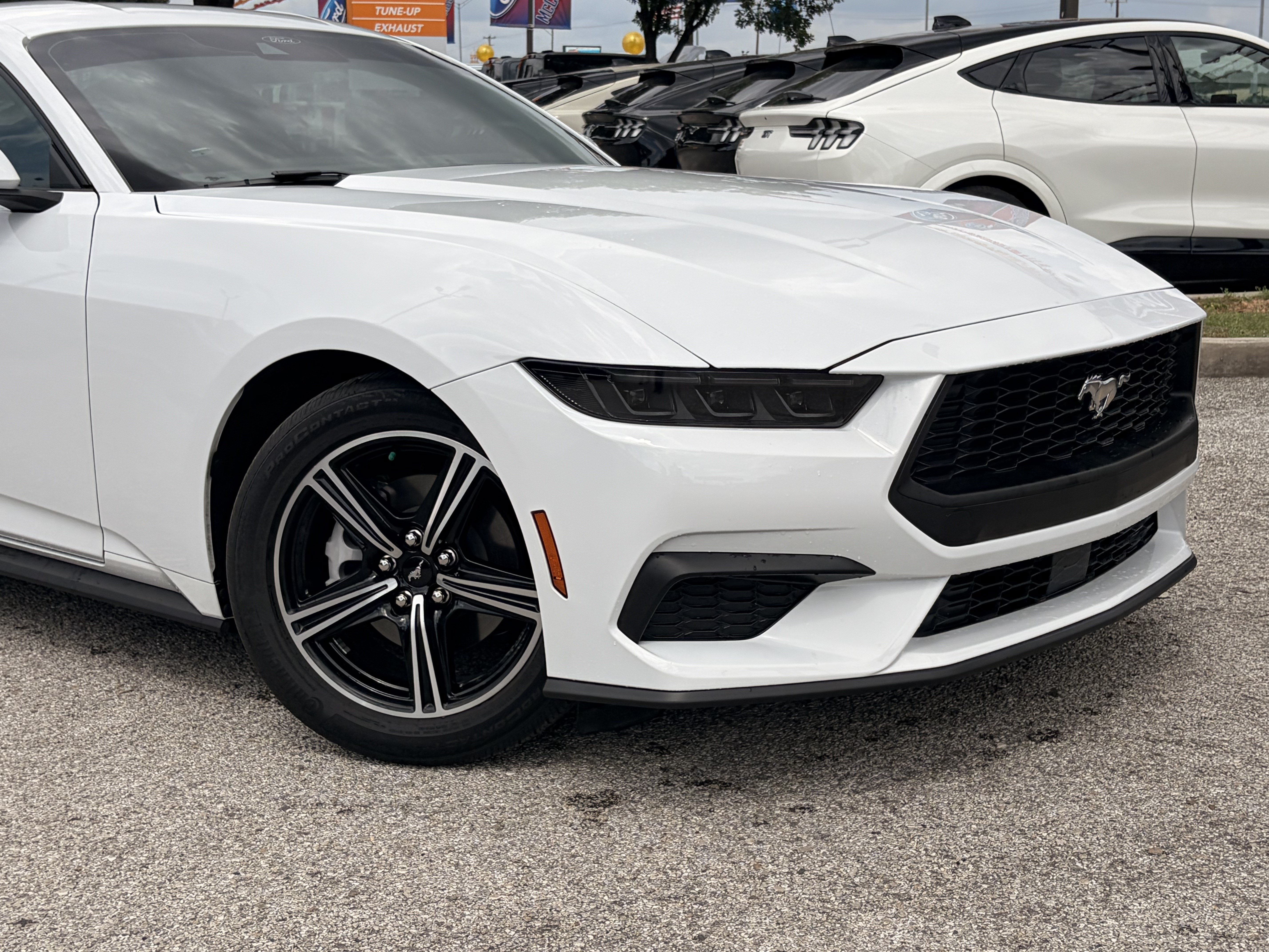 Certified 2025 Ford Mustang Coupe RWD image 2