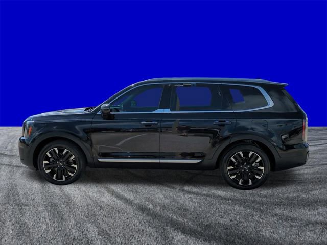 Used 2024 Kia Telluride SX w/ Towing Package image 2