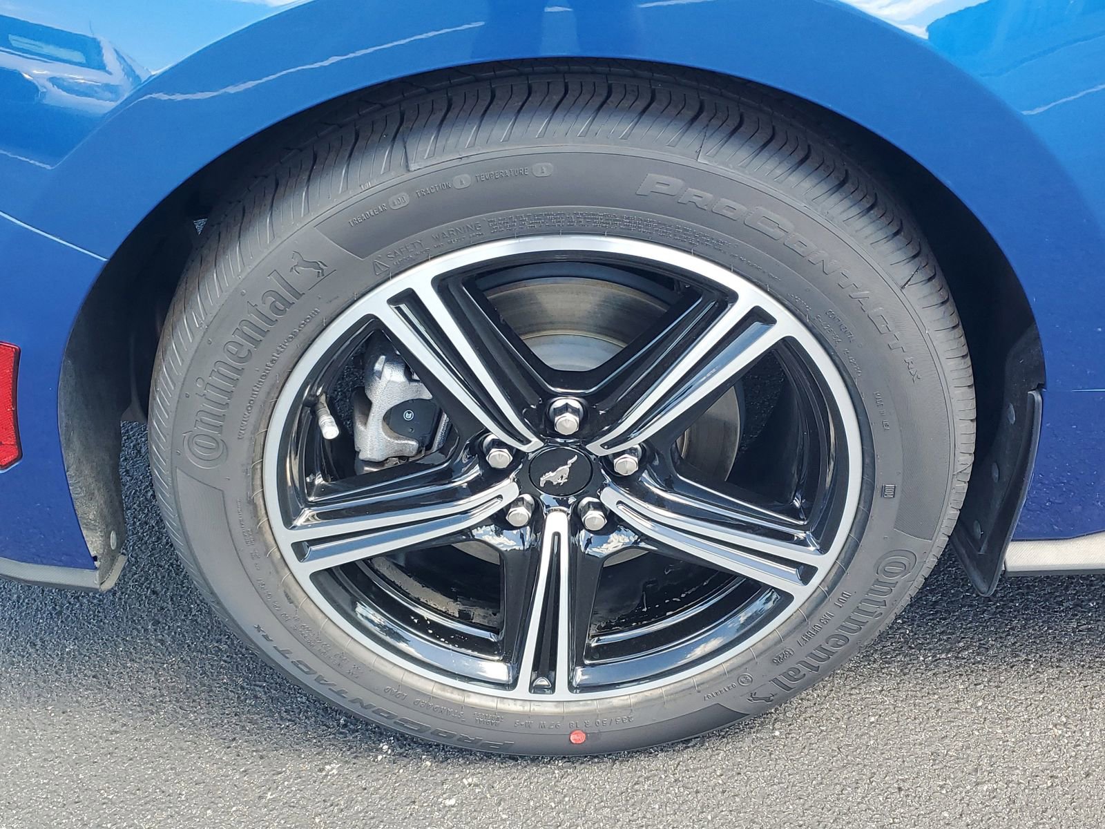 Certified 2024 Ford Mustang Premium RWD image 5