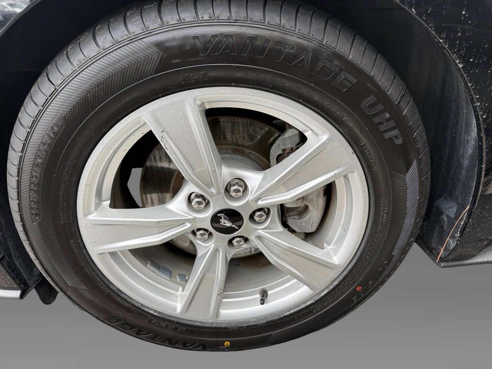 Certified 2022 Ford Mustang Coupe RWD image 9