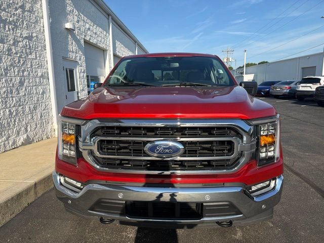 Certified 2023 Ford F150 XLT w/ Equipment Group 302A High AWD/4WD image 3