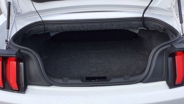 Certified 2018 Ford Mustang Premium image 10