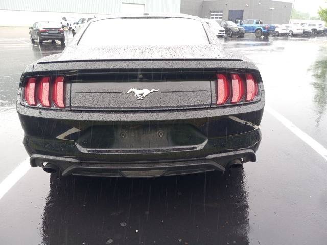 Certified 2019 Ford Mustang Coupe w/ Equipment Group 101A RWD image 33