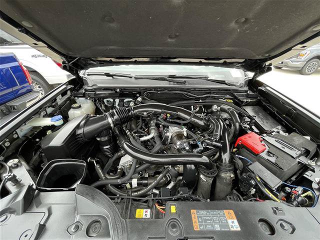 Certified 2024 Ford Ranger Raptor AWD/4WD image 36