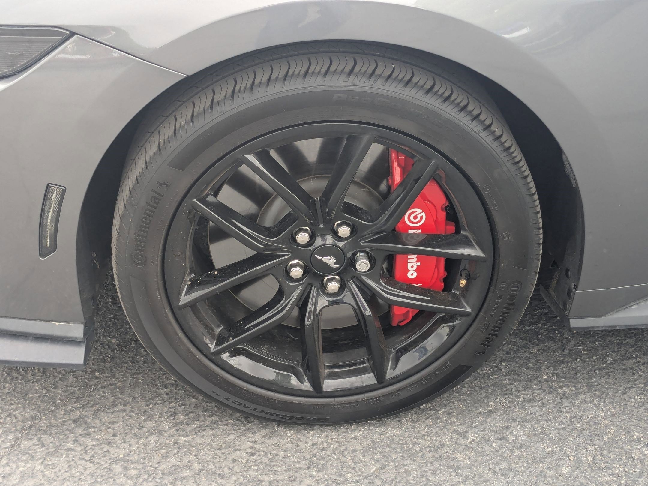 Certified 2024 Ford Mustang GT Premium RWD image 14