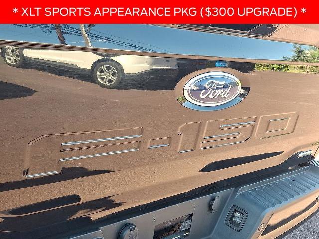 Certified 2022 Ford F150 XLT w/ Equipment Group 302A High AWD/4WD image 29
