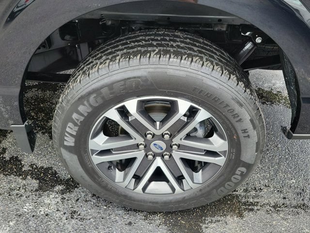Certified 2023 Ford F150 XL w/ STX Appearance Package RWD image 8