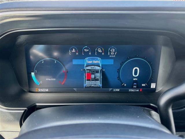 Certified 2023 Ford F350 Platinum w/ Tremor Off-Road Package AWD/4WD image 13