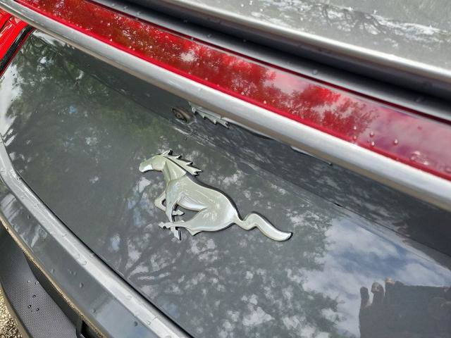 Certified 2025 Ford Mustang Premium image 13