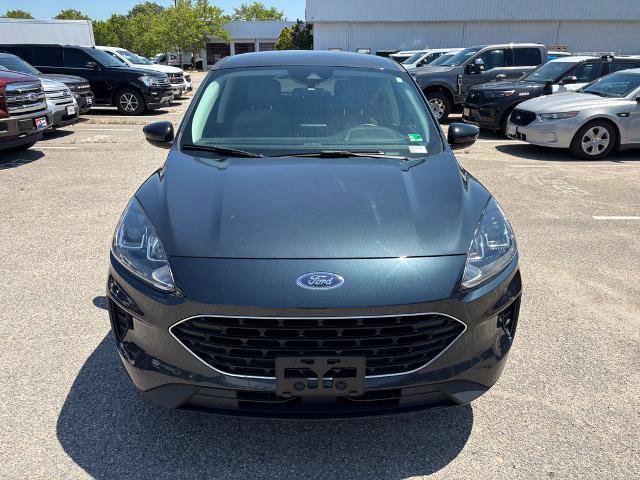 Certified 2022 Ford Escape SE w/ SE Sport Appearance Package FWD image 2