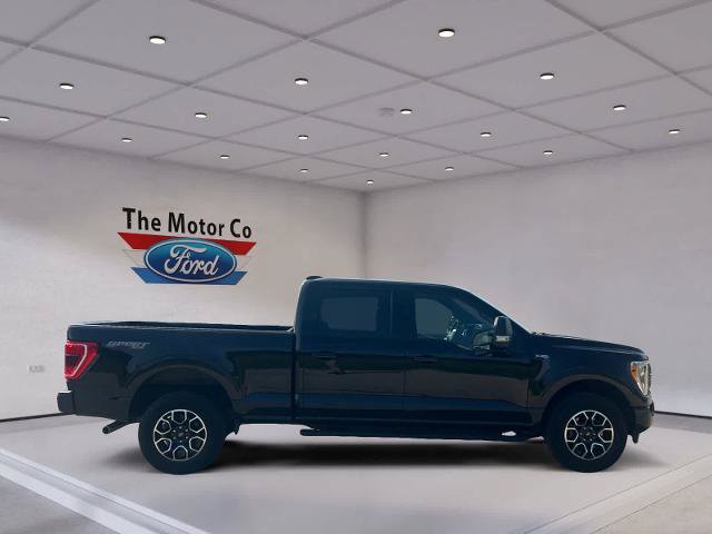 Certified 2023 Ford F150 XLT w/ Equipment Group 302A High AWD/4WD image 4
