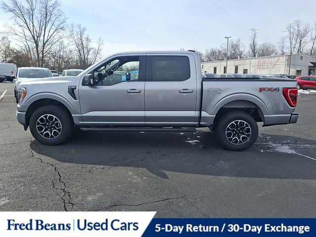 Certified 2022 Ford F150 XLT w/ Equipment Group 302A High image 3