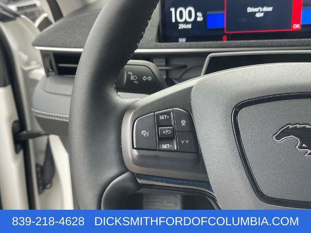 Certified 2024 Ford Mustang Mach-E Premium image 19