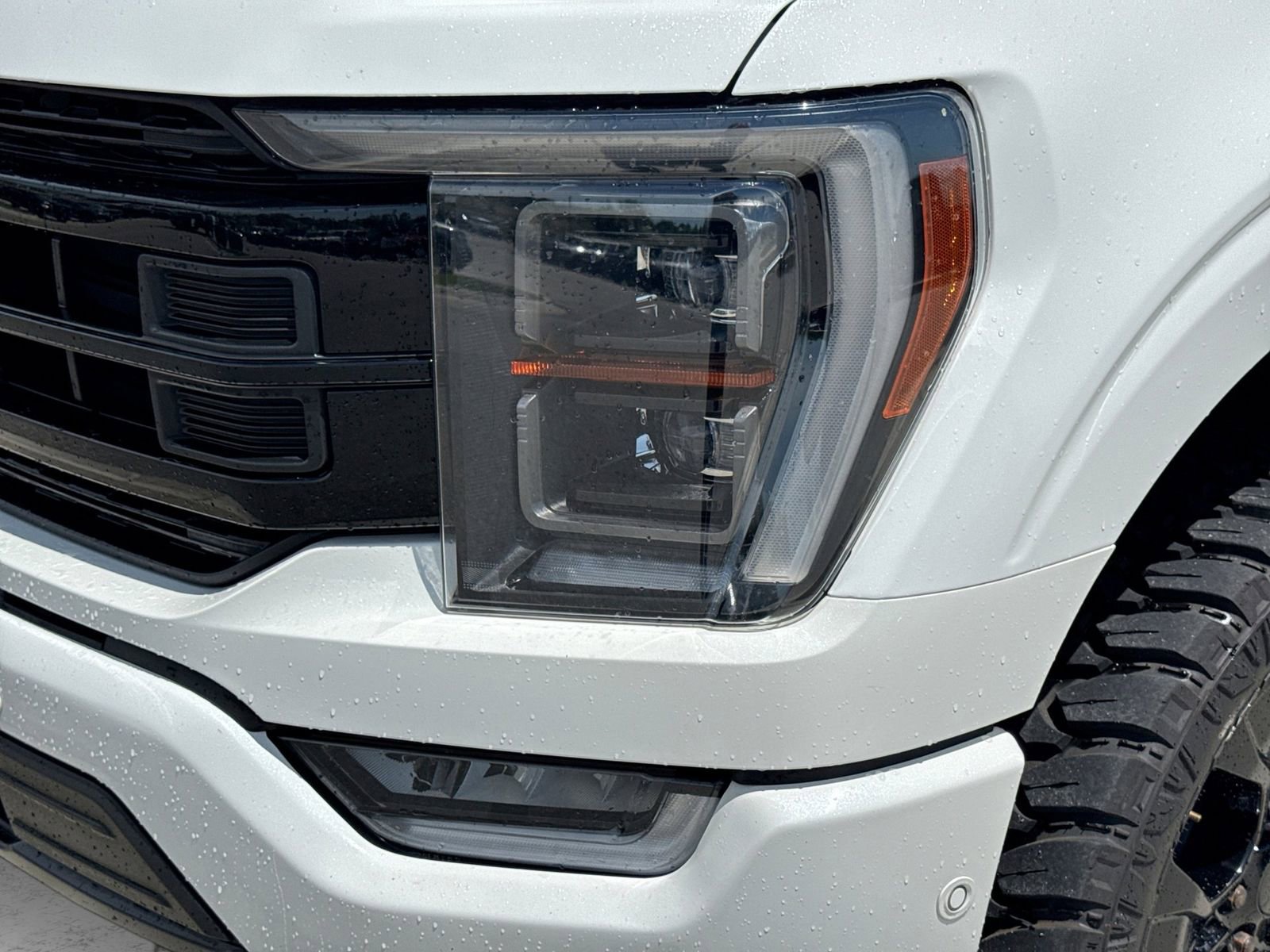 Certified 2022 Ford F150 Platinum w/ Equipment Group 701A High AWD/4WD image 13