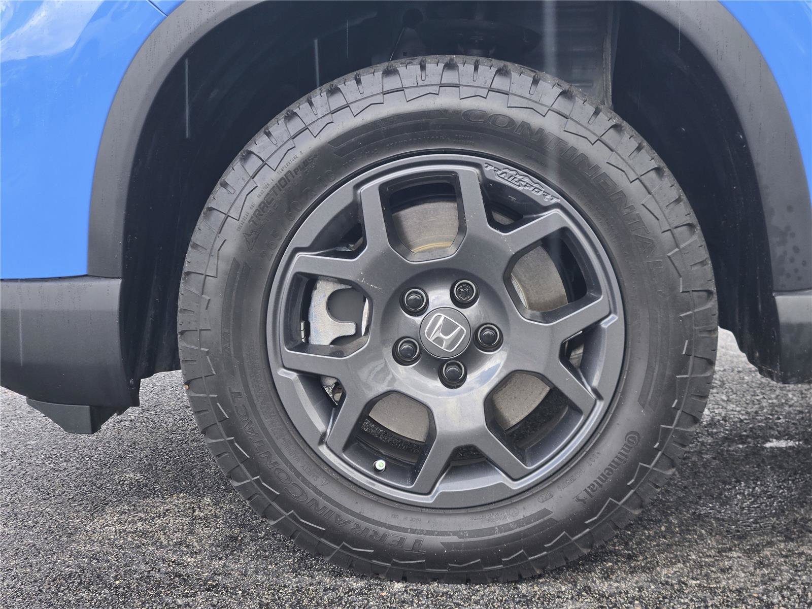 Used 2025 Honda Pilot TrailSport image 11