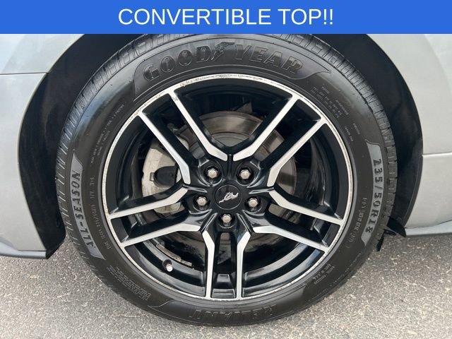 Certified 2021 Ford Mustang Premium image 12