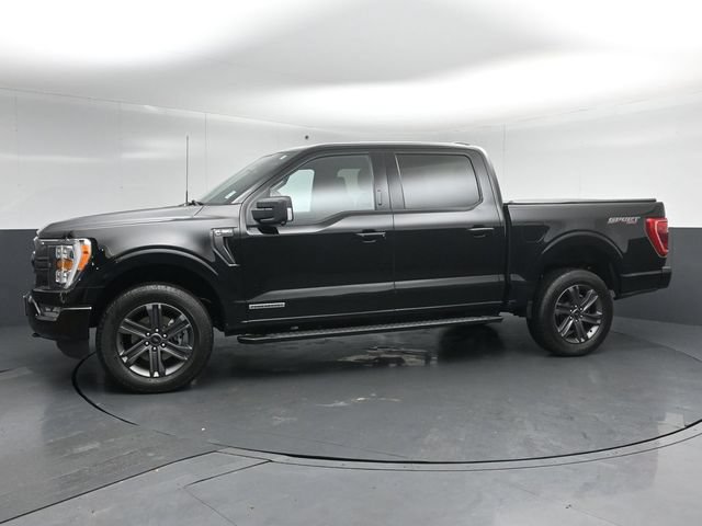 Certified 2023 Ford F150 XLT w/ Equipment Group 302A High AWD/4WD image 4
