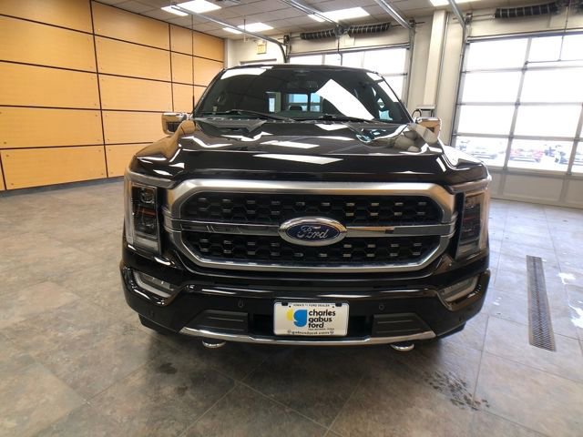 Certified 2023 Ford F150 Platinum image 8