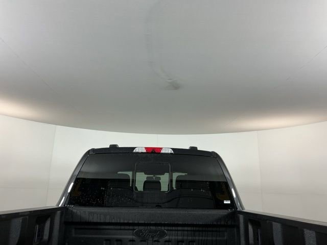 Certified 2025 Ford F450 Platinum w/ FX4 Off-Road Package AWD/4WD image 10