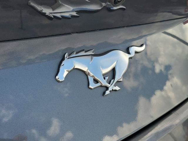 Certified 2024 Ford Mustang Premium RWD image 8