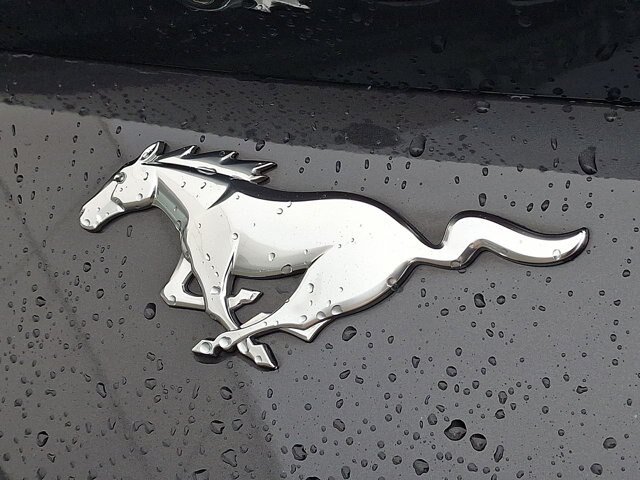 Certified 2024 Ford Mustang Coupe RWD image 23