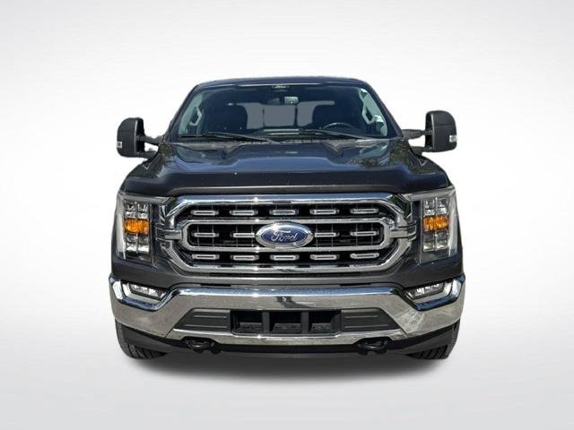 Certified 2022 Ford F150 XLT w/ Equipment Group 302A High AWD/4WD image 3