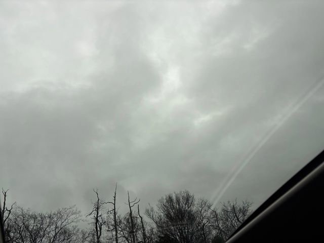 Used 2021 Kia K5 EX w/ EX Premium Package image 16