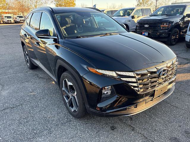 Used 2023 Hyundai Tucson Limited image 7