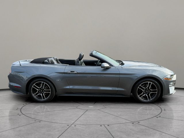 Certified 2022 Ford Mustang Premium w/ Ford Safe & Smart Package RWD image 11