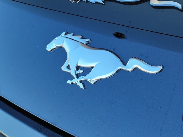 Certified 2026 Ford Mustang Coupe RWD image 8