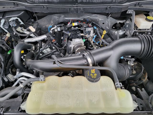 Certified 2023 Ford F150 XL w/ STX Appearance Package image 40