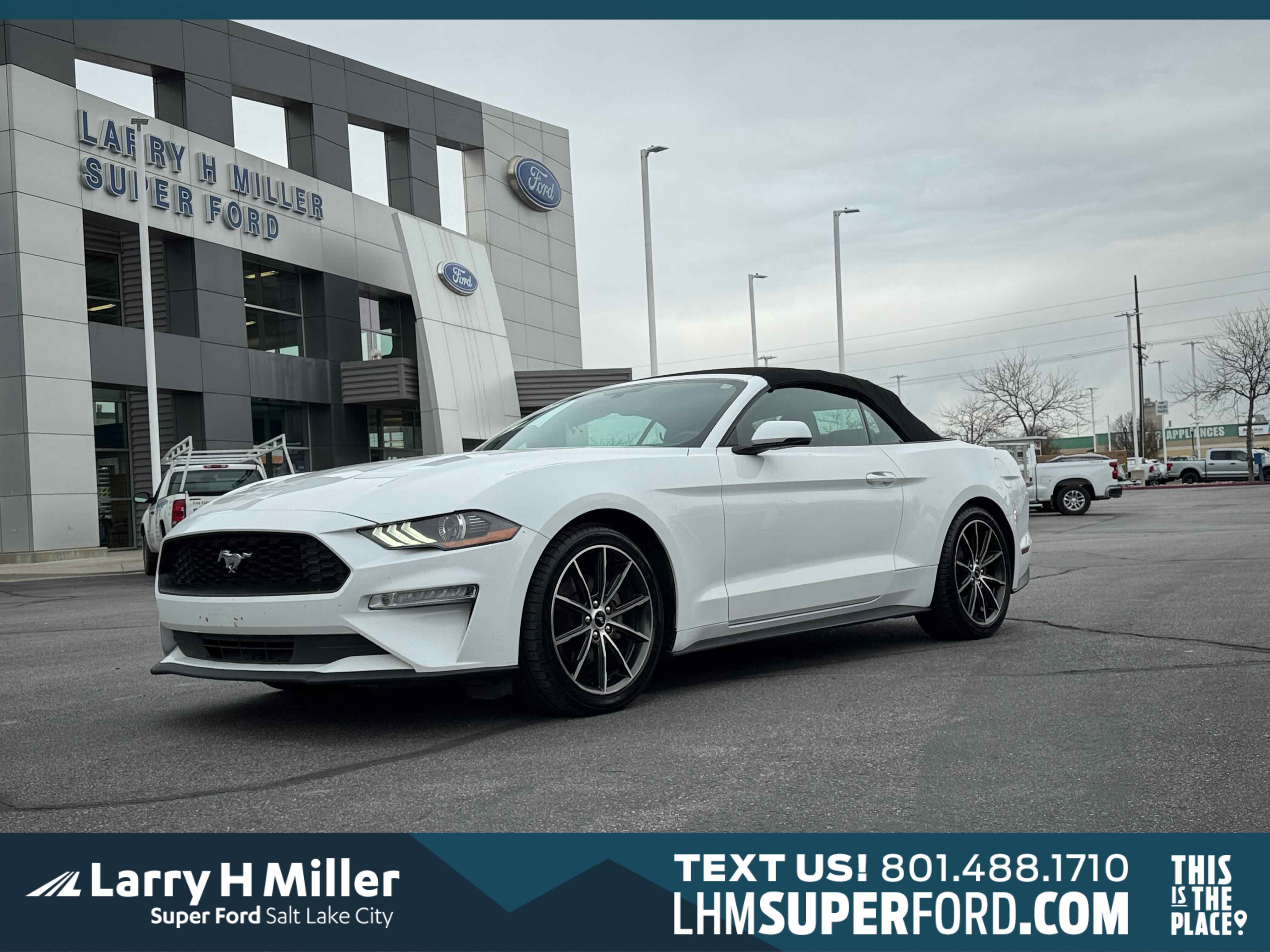 Certified 2018 Ford Mustang Premium w/ Equipment Group 201A